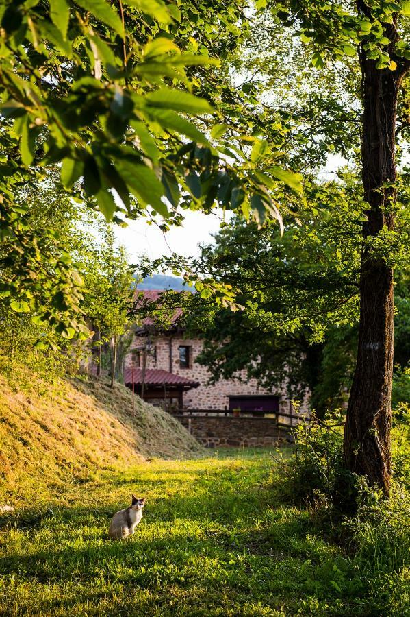 Gorosarri Leilighet Escoriaza Eksteriør bilde